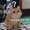 评论头像